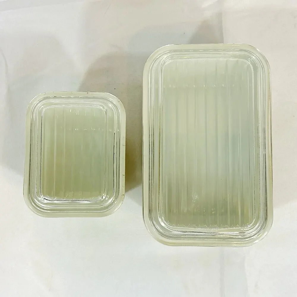 Pyrex HOMESTEAD Refrigerator Dishes Set of 2 ~ 501 & 502 w/ Clear Lids Vintage